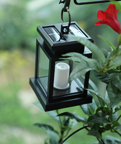 Solar Oasis Lantern