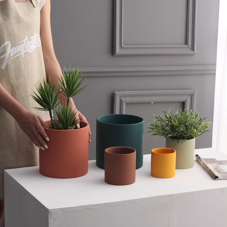 Colour Pop Planter Collection