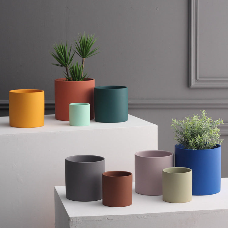 Colour Pop Planter Collection