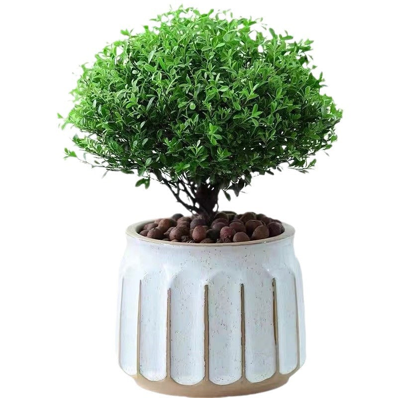 Modern Striped Plant Pot