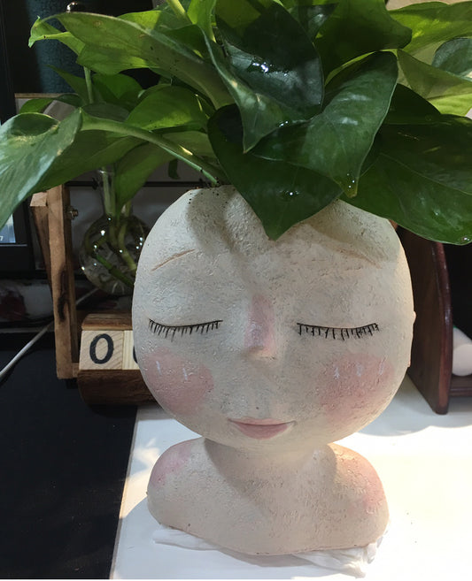 Daydreamer Planter