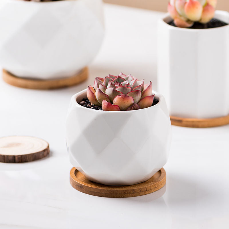 Minimalist White Plant Pot