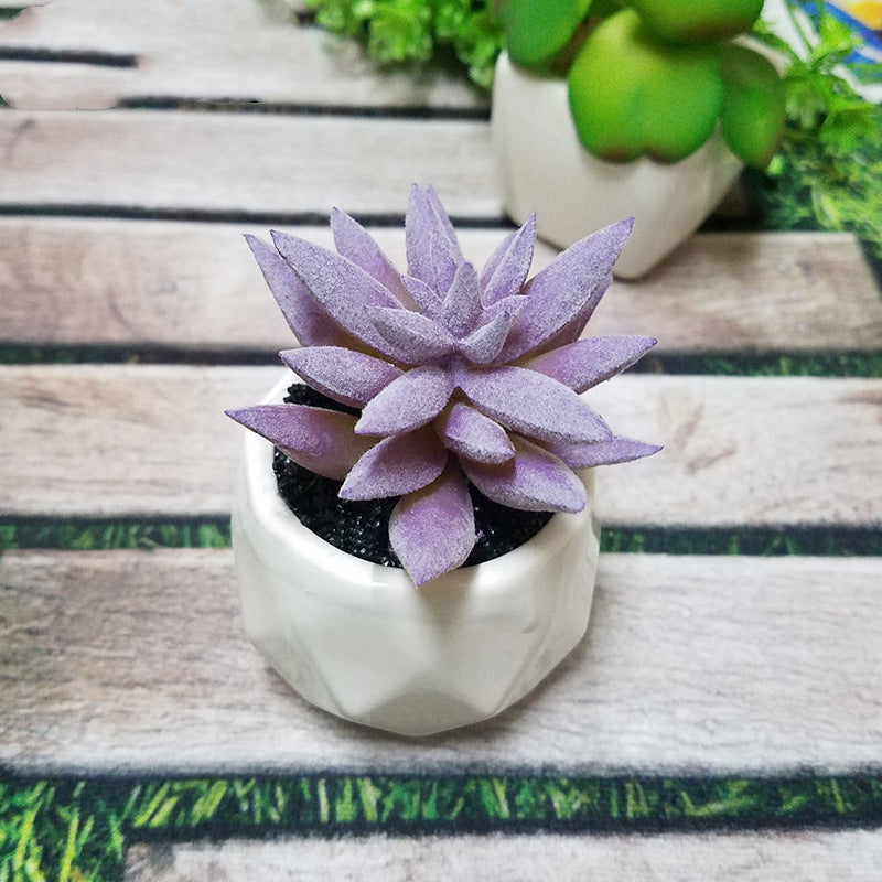 Lifelike Faux Succulents