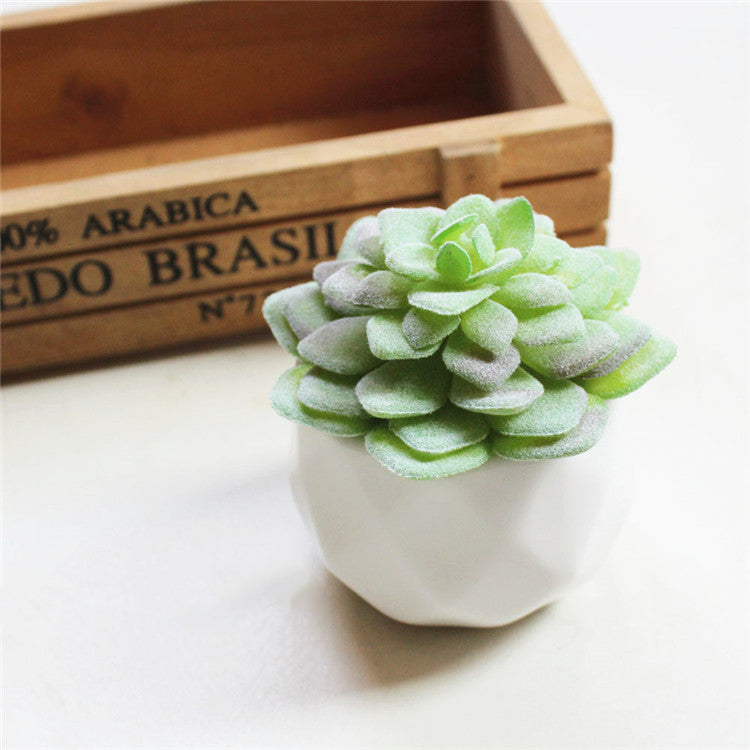 Lifelike Faux Succulents