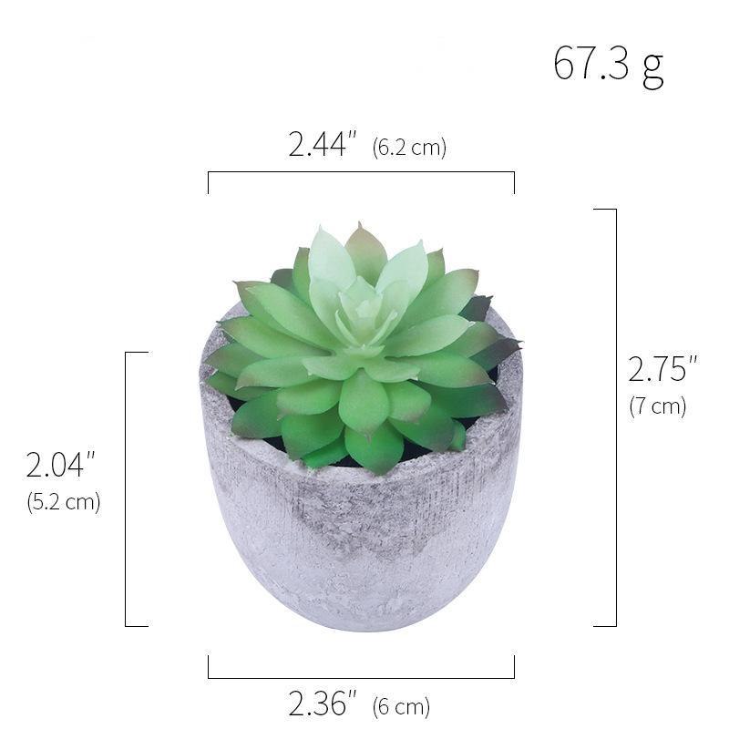 Forever Blooming Artificial Succulents